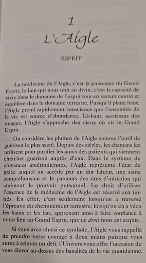 1 aigle les cartes medecine by jamie sams et david carson 1