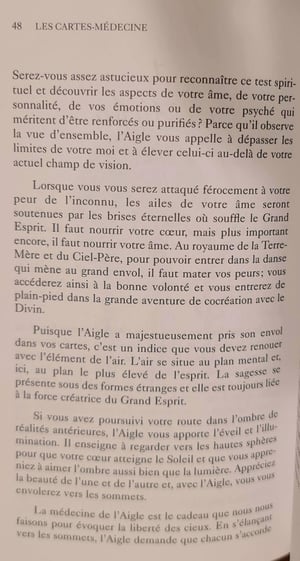 1 aigle les cartes medecine by jamie sams et david carson 2