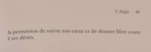 1 aigle les cartes medecine by jamie sams et david carson 3