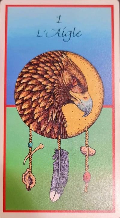 1 aigle les cartes medecine by jamie sams et david carson