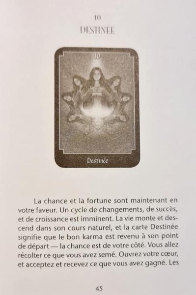 10 destinee 1 le tarot psychique de john holland