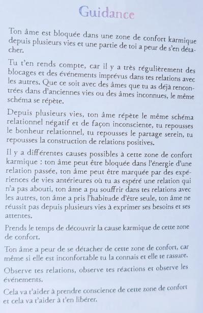 12 zone de confort karmique 1 l oracle des flammes jumelles et autres relations karmiques d