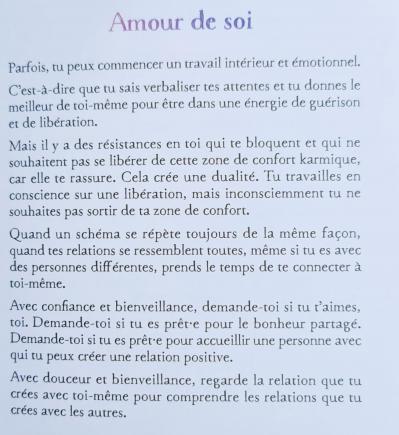 12 zone de confort karmique 2 l oracle des flammes jumelles et autres relations karmiques d