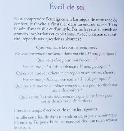 12 zone de confort karmique 3 l oracle des flammes jumelles et autres relations karmiques d