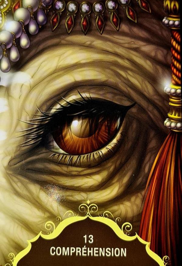 13 comprehension murmures de ganesh d angela hartfield