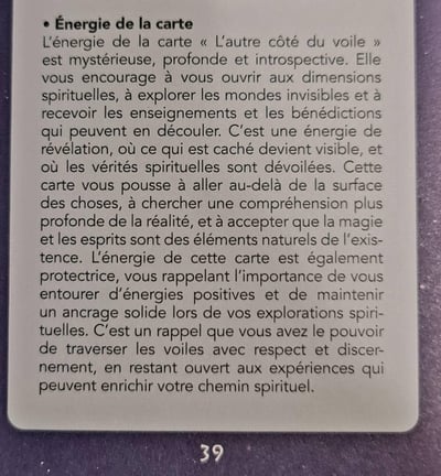 13 l autre cote du voile sabbats des sorcieres by alexandra maccorvus et laurie anne poquet 1