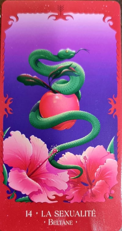 14 la sexualite sabbats des sorcieres by alexandra maccorvus et laurie anne poquet