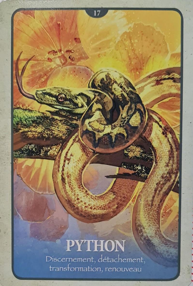 17 python le langage secret des animaux de chip richards