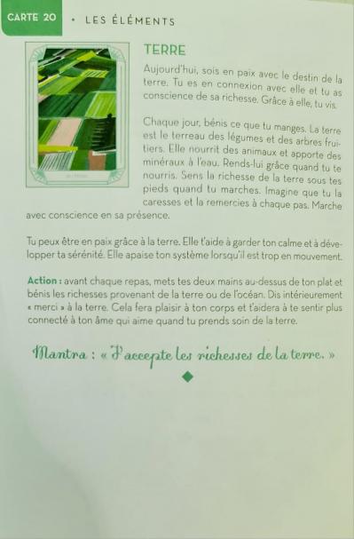 20 terre esprits de la nature de sarah divine beya rebai 3