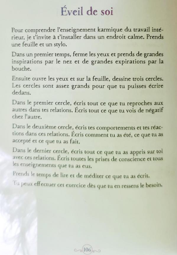 21 travai3 l oracle des flammes jumelles et autres relations karmiques d isabelle