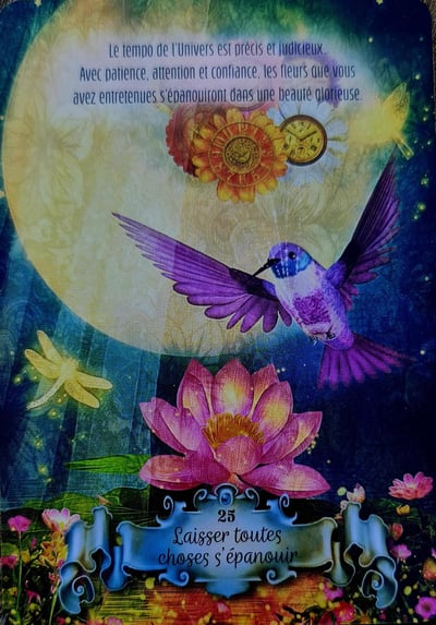 25 laisser toutes choses s epanouir la sagesse du colibri d de ellen valladares et yasmeen westwood 3