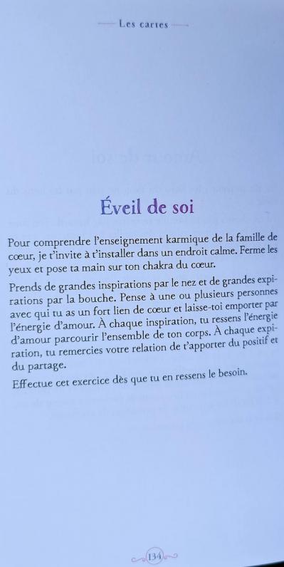 28 famille de coeur l oracle des flammes jumelles et autres relations karmiques d isabelle cerf et natacha birds 3