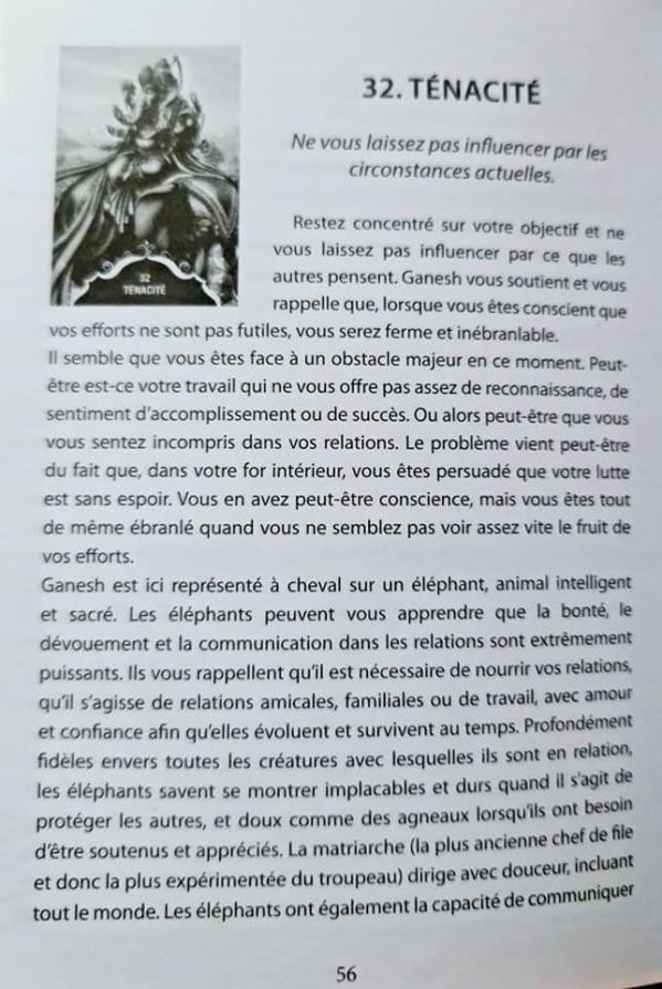 32 tenacite 1 murmures de ganesh d angela hartfield