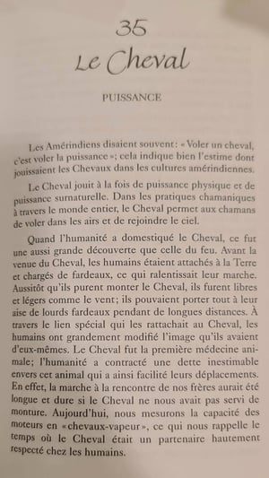 35 le cheval les cartes medecine by jamie sams et david carson 1