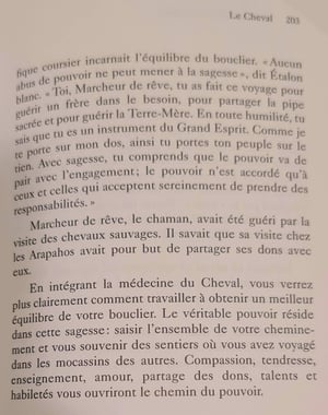 35 le cheval les cartes medecine by jamie sams et david carson 3