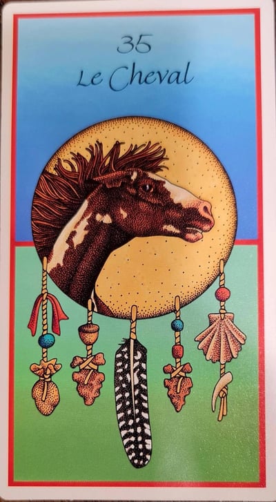 35 le cheval les cartes medecine by jamie sams et david carson