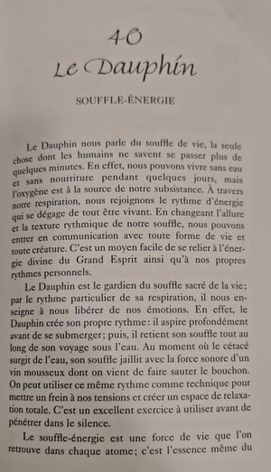 40 dauphin les cartes medecine by jamie sams et david carson 1