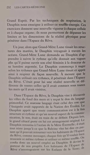 40 dauphin les cartes medecine by jamie sams et david carson 2