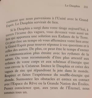 40 dauphin les cartes medecine by jamie sams et david carson 3