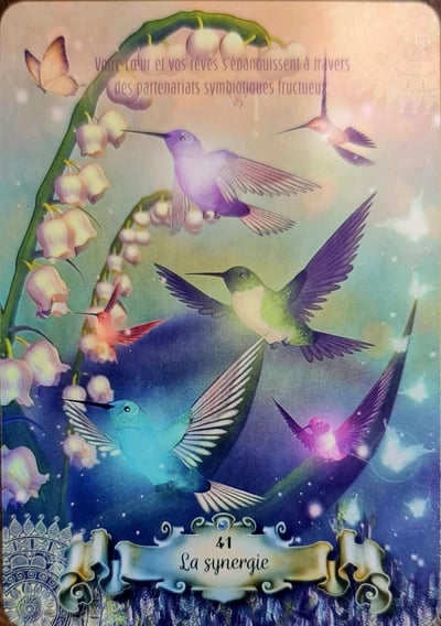 41 la synergie la sagesse du colibri d de ellen valladares et yasmeen westwood