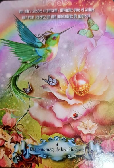 5 des bouquets de benediction la sagesse du colibri d de ellen valladares et yasmeen westwood