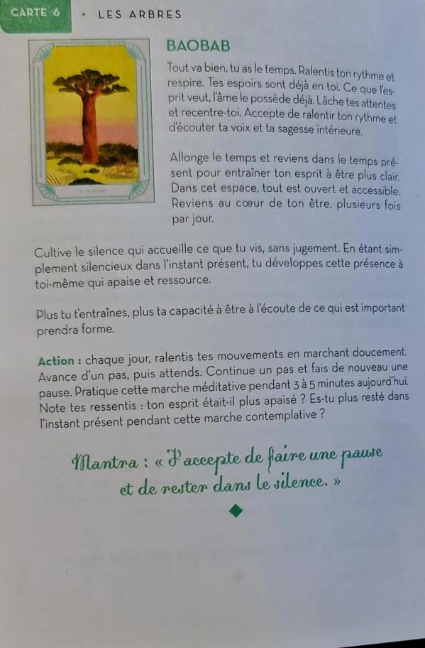 6 baobab esprits de la nature de sarah divine beya rebai 1