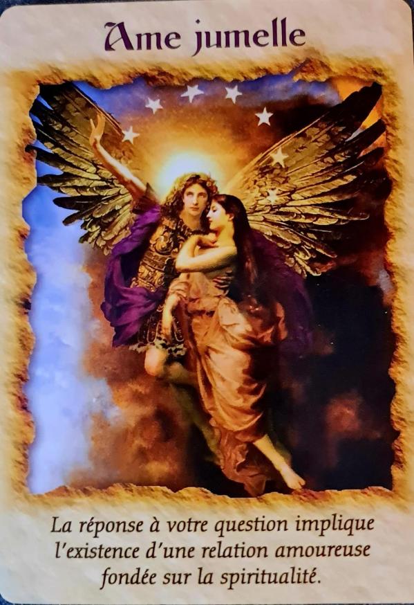 Ame jumelle guerir avec l aide des anges de doreen virtue 1