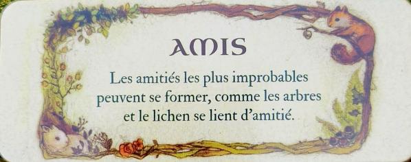 Amis le petit oracle de la foret de jessica le
