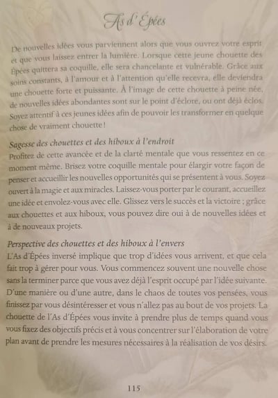 As d epee le tarot des chouettes et des hiboux by pamela chen et elisabeth alba 1