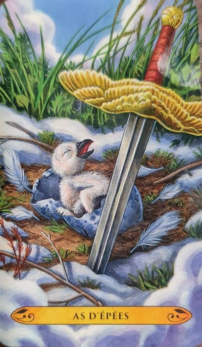 As d epee le tarot des chouettes et des hiboux by pamela chen et elisabeth alba