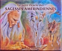 Boite le petit oracle des sagesses amerindiennes de dylan collin