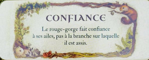 Confiance le petit oracle de la foret de jessica le