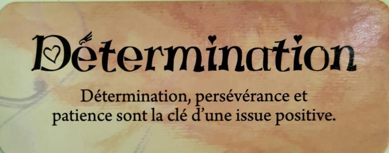 Determination le petit oracle des anges de toni carmine salerno