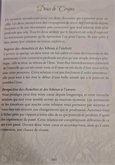 Deux de coupes le tarot des chouettes et des hiboux by pamela chen et elisabeth alba 1