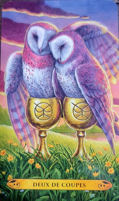Deux de coupes le tarot des chouettes et des hiboux by pamela chen et elisabeth alba