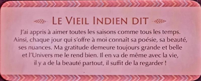 J ai appris a aimer le petit oracle des sagesses amerindiennes de dylan collin