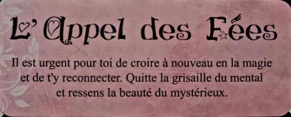 L appel des fees le petit oracle des fees de claire duval