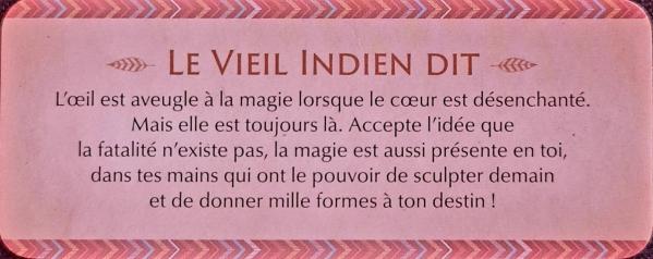 L oeil est aveugle le petit oracle des sagesses amerindiennes de dylan collin 1