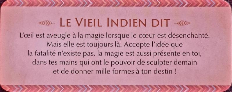 L oeil est aveugle le petit oracle des sagesses amerindiennes de dylan collin