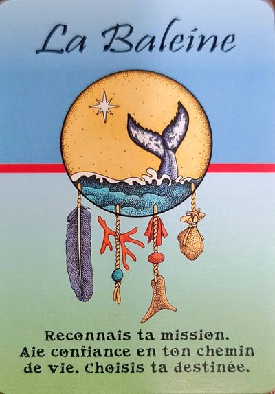 La baleine les cartes medecines de jamie sams david carson angela werneke
