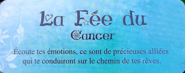 La fee du cancer le petit oracle des fees de claire duval