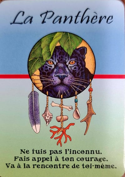 La panthere les cartes medecines de jamie sams david carson angela werneke