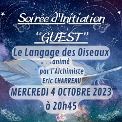 Langage des oiseaux by eric