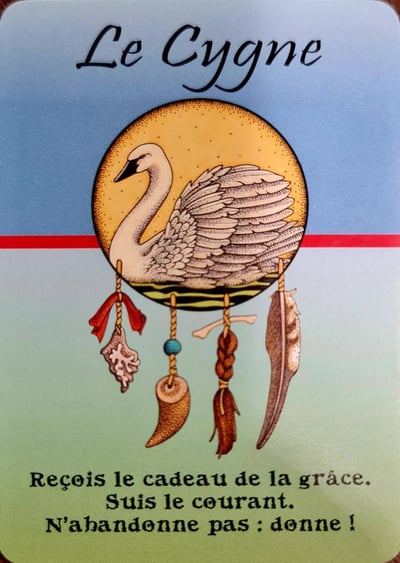Le cygne les cartes medecines de jamie sams david carson angela werneke