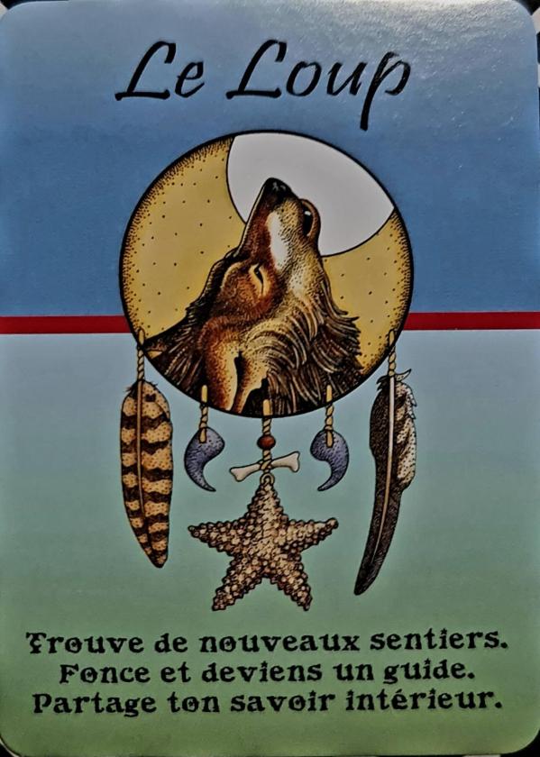 Le loup les cartes medecines de jamie sams david carson angela werneke