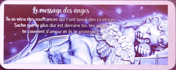 Le message des anges le petit oracle messager frederique shine