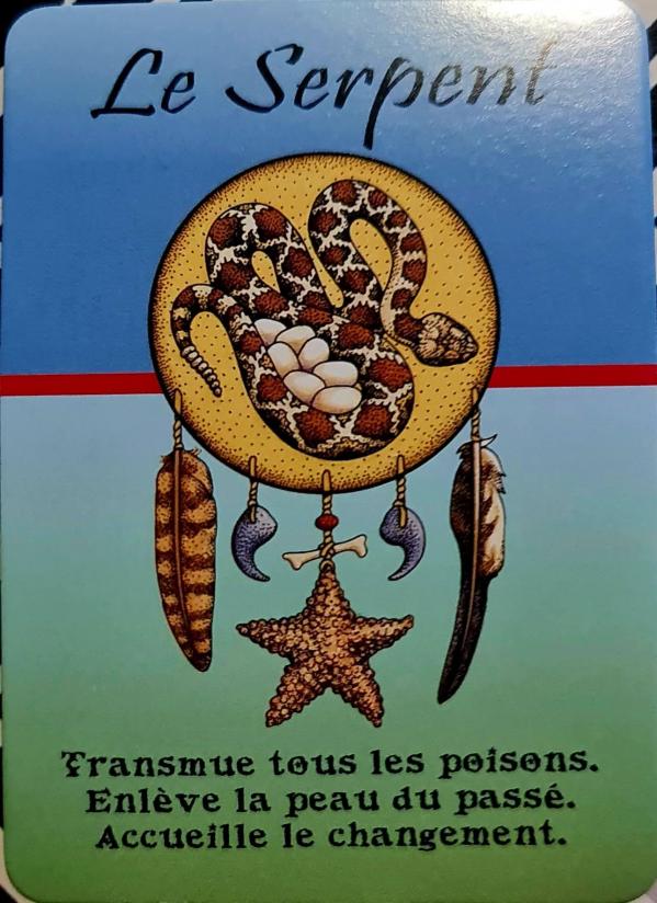 Le serpent les cartes medecines de jamie sams david carson angela werneke