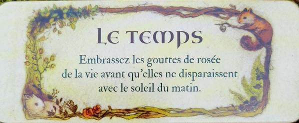 Le temps le petit oracle de la foret de jessica le