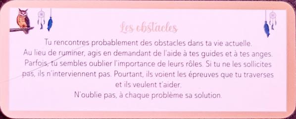 Les obstacles le petit oracle messager frederique shine