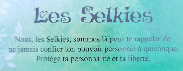 Les selkies le petit oracle des fees de claire duval 1